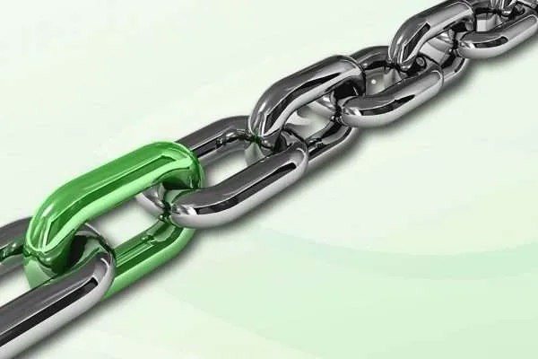 support: strong link in the chain